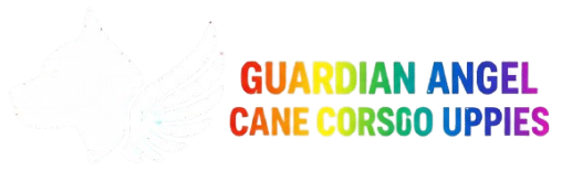 guardianangelcanecorsopuppies